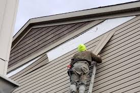 Best Stucco Siding  in Prceton, IN